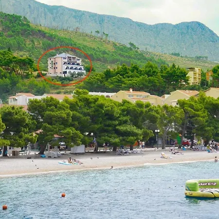 Palma 3*